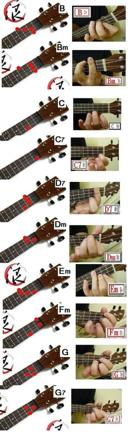 ukuleleúͼ