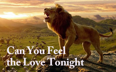 Can You Feel the Love Tonight  ʨ 